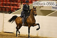09buck-0566 proof
