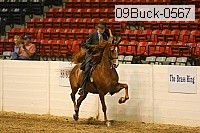09buck-0567 proof