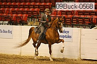 09buck-0568 proof