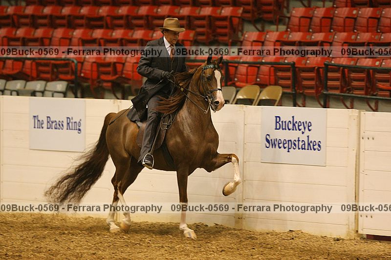 Proof 09buck-0569