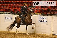 09buck-0569 proof