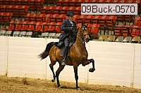 09buck-0570 proof