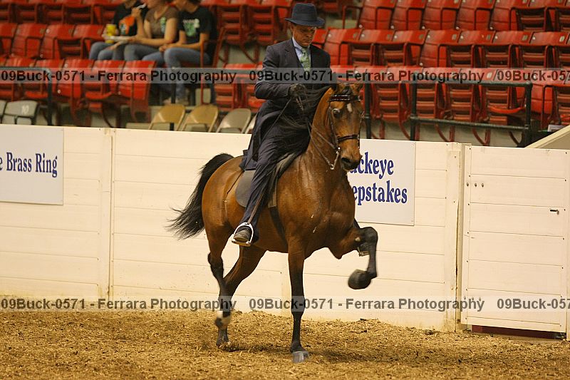 Proof 09buck-0571