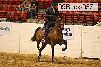 09buck-0571 proof