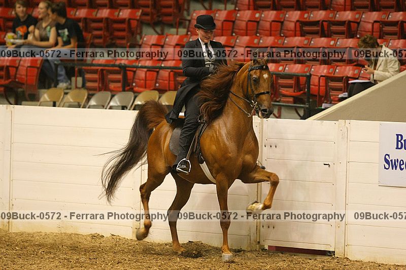 Proof 09buck-0572