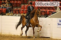 09buck-0572 proof