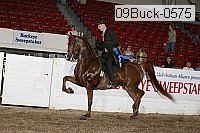 09buck-0575 proof