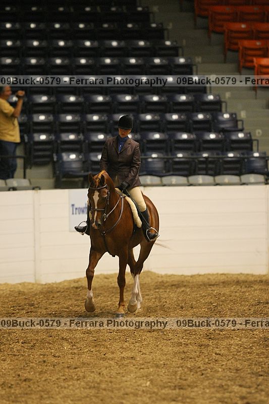 Proof 09buck-0579