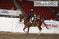09buck-0582 proof