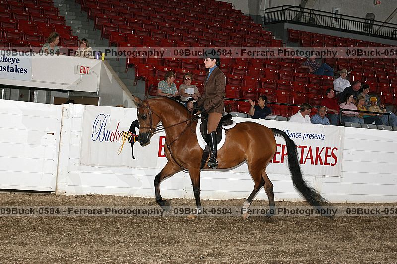 Proof 09buck-0584