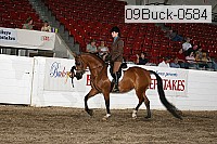 09buck-0584 proof