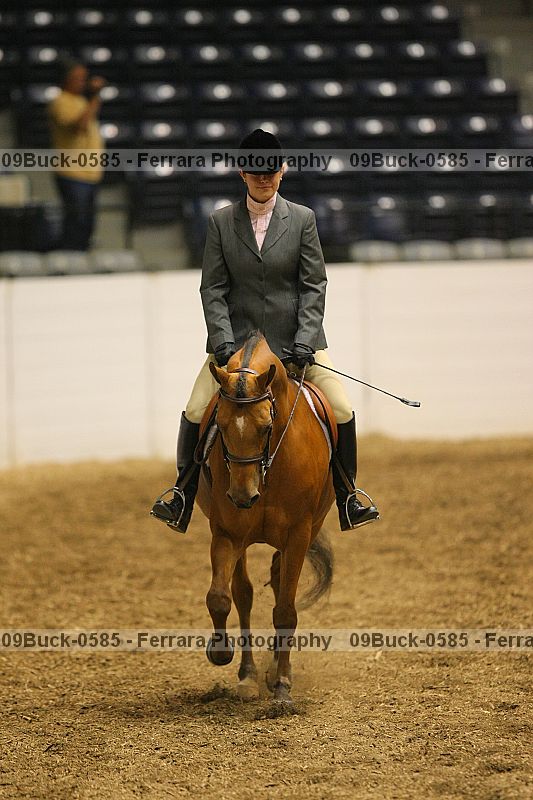 Proof 09buck-0585