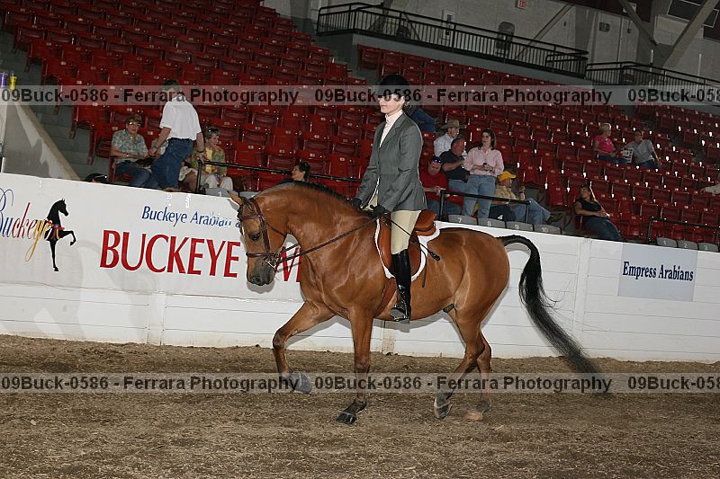 Proof 09buck-0586