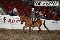 09buck-0586 proof