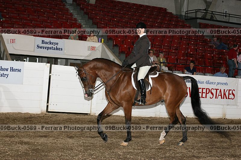 Proof 09buck-0589