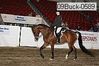 09buck-0589 proof