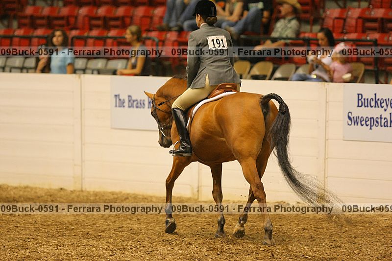 Proof 09buck-0591