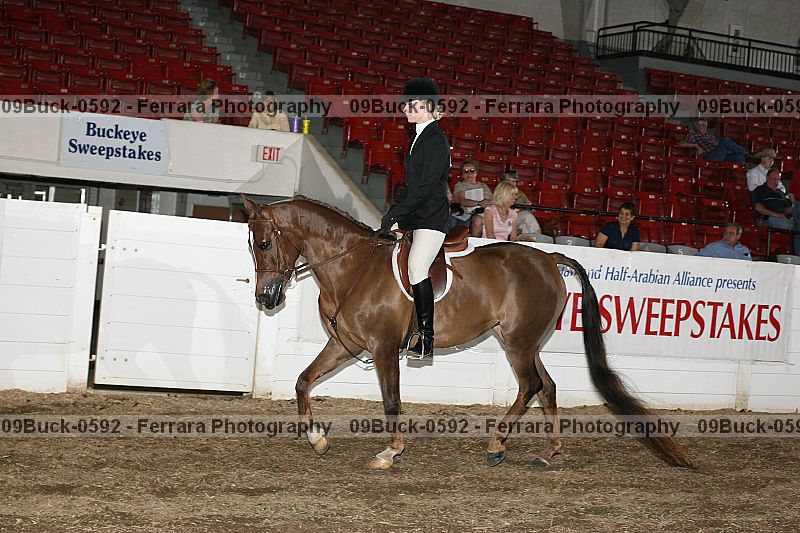 Proof 09buck-0592
