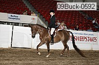 09buck-0592 proof