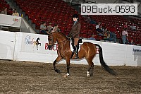 09buck-0593 proof