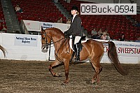 09buck-0594 proof