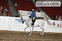09buck-0595 proof