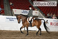 09buck-0596 proof