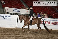 09buck-0597 proof