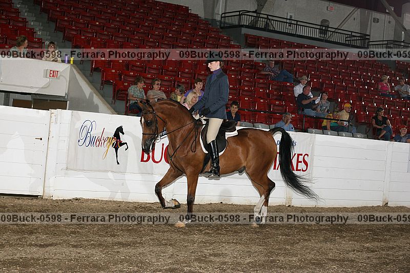 Proof 09buck-0598