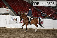 09buck-0598 proof