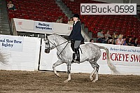 09buck-0599 proof