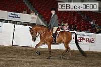 09buck-0600 proof