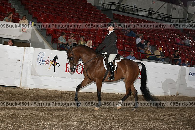 Proof 09buck-0601