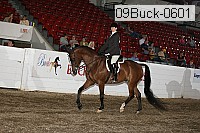 09buck-0601 proof