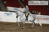 09buck-0602 proof