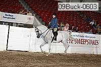 09buck-0603 proof