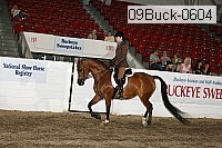 09buck-0604 proof