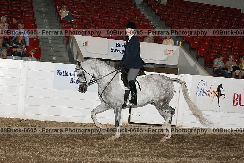 Proof 09buck-0605