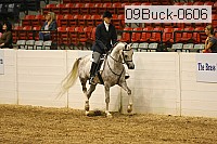 09buck-0606 proof