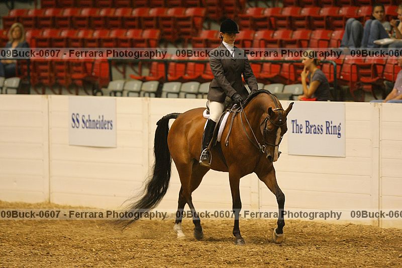 Proof 09buck-0607