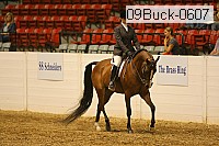 09buck-0607 proof