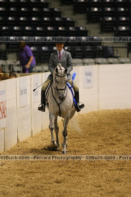 Proof 09buck-0609