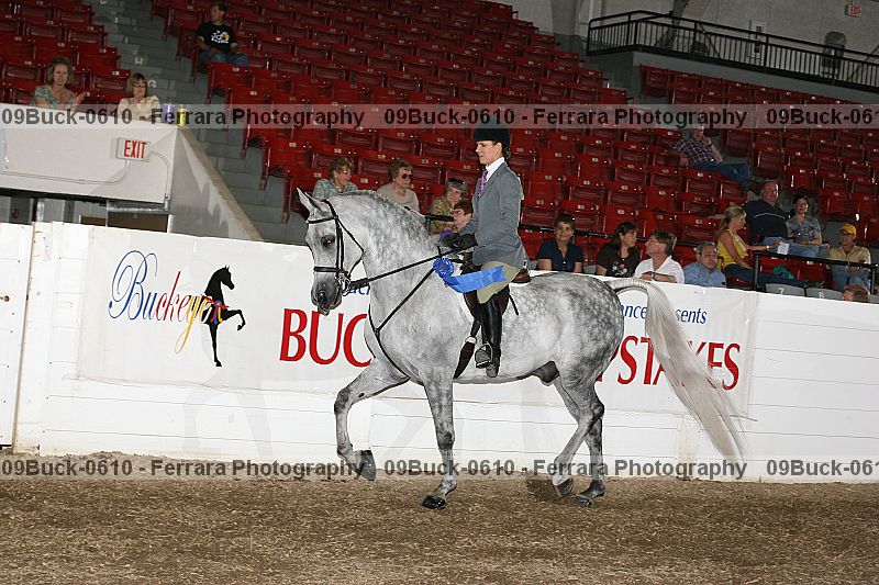 Proof 09buck-0610