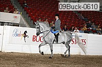 09buck-0610 proof