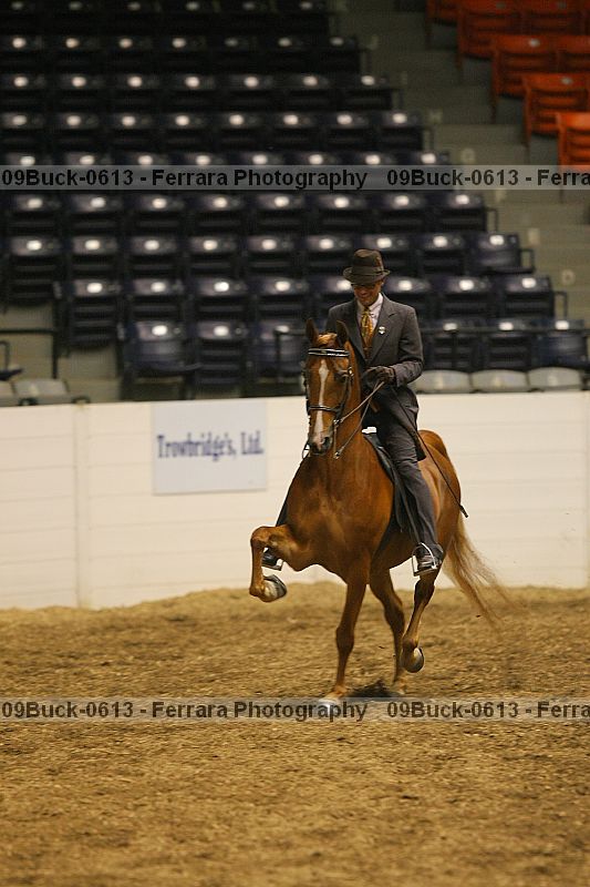 Proof 09buck-0613