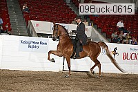 09buck-0615 proof