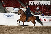 09buck-0617 proof