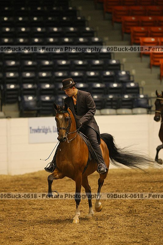 Proof 09buck-0618