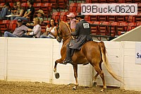 09buck-0620 proof