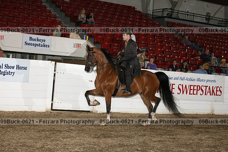 Proof 09buck-0621